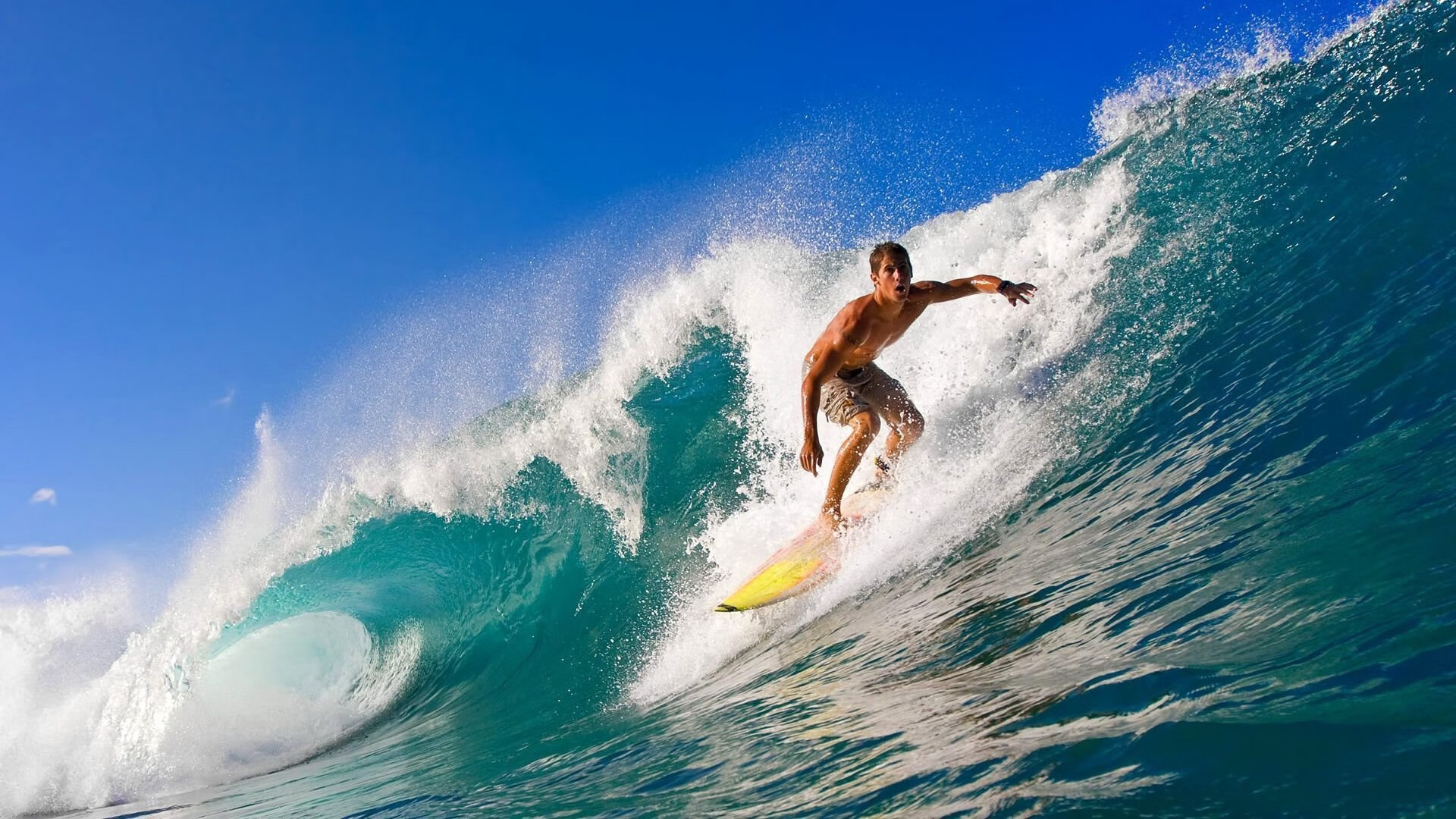 经典对决:那些不断重演的“巅峰”之战,精彩对决